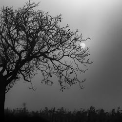 Low angle view of silhouette bare tree against sky