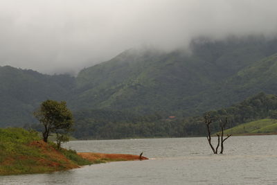 Scenic view of river and mountains against sky