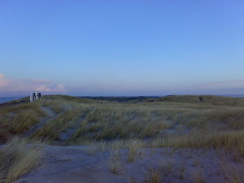 Scenic view of grassy field against blue sky