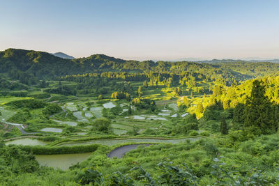 Scenic view of agricultural field against sky