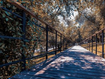 Footpath amidst trees in forest during autumn