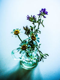 Close-up of flower vase against white background