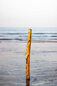 Wooden posts on beach against clear sky