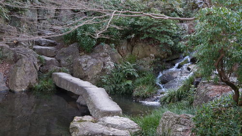 Stream flowing through rocks in forest