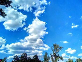 Low angle view of trees against blue sky