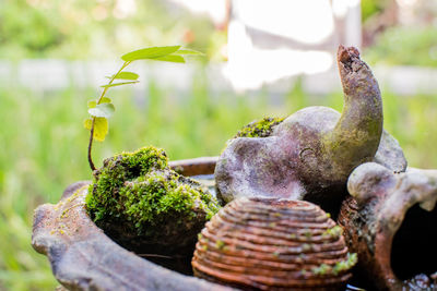 Close-up of rusty sculpture