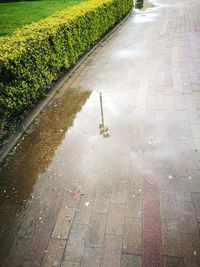 High angle view of puddle on road