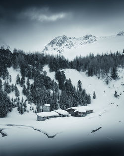 Pine trees on snow covered mountain against sky