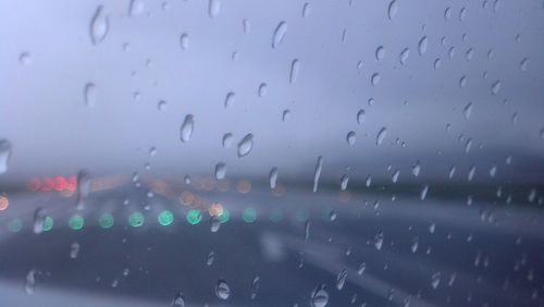 Flock of birds in rainy season