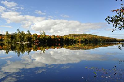 Reflection of trees in calm lake