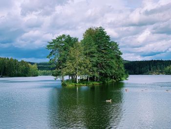 Trees by lake against sky