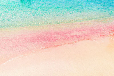 High angle view of pink sea shore