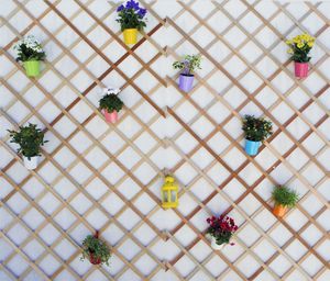 Directly above shot of multi colored flower on white surface