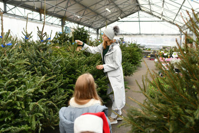 Mother and children choose a christmas tree in the market.