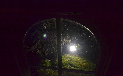 Reflection of trees in rain