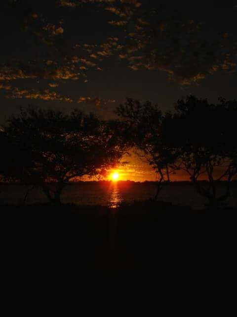 silhouette, sunset, tranquil scene, sun, scenics, tranquility, beauty in nature, tree, landscape, dark, idyllic, nature, majestic, sky, dramatic sky, orange color, outdoors, branch, non-urban scene, back lit, vibrant color, outline, moody sky, no people, remote, atmosphere, rural scene, tourism