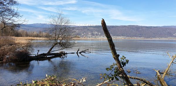 Scenic view of lake against sky