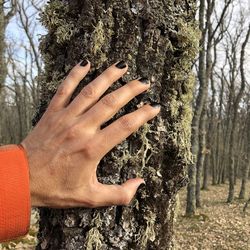 Close-up of human hand on tree trunk