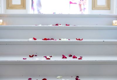 High angle view of roses on the floor 