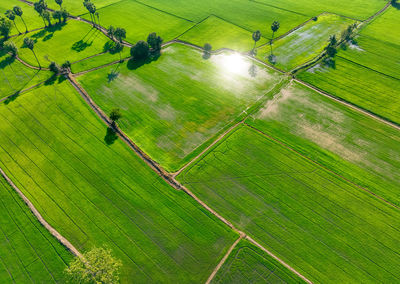 High angle view of soccer field