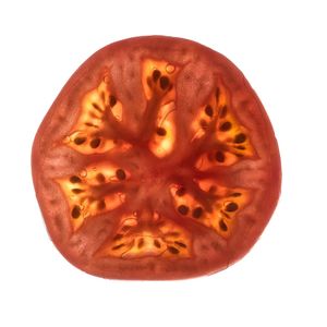 Close-up of pumpkin against white background