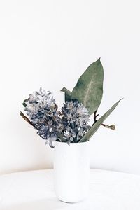 Close-up of flower vase against white background