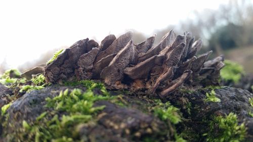 Rocks on rock formation