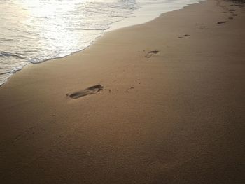 High angle view of footprints on beach