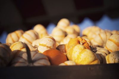 Close-up of fruits for sale at market stall