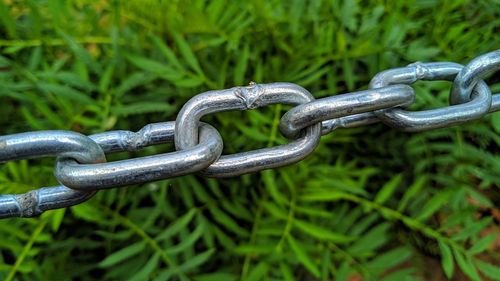 Close-up of chain on metal fence