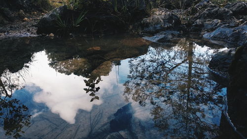 Reflection of trees in lake during winter