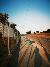 Shadow of trees on road against clear sky