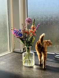 Cat looking away in flower vase