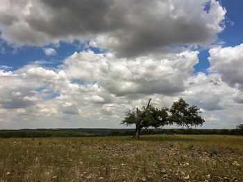 Scenic view of field against sky