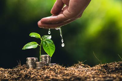 Cropped hand of person watering plant by stacked coins on field