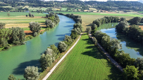 High angle view of river amidst trees on field