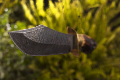 Low section of woman wearing hat