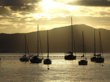 Sailboats in sea against sky during sunset