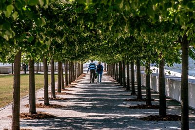 Rear view of man and woman walking amidst trees in park