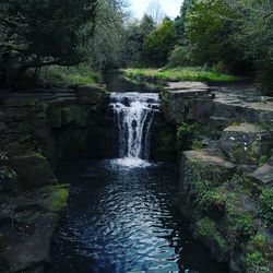 Stream flowing through rocks in forest