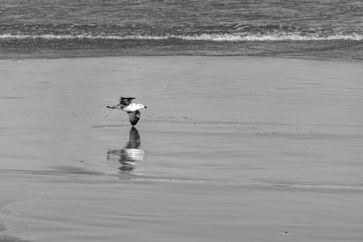 Full length of man on beach