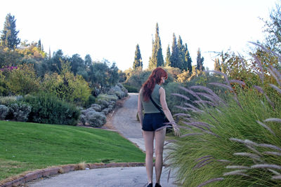 Rear view of woman standing by trees against sky