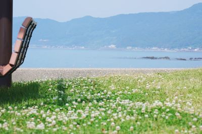 Scenic view of field by lake against mountains