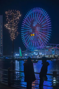 Illuminated ferris wheel at night