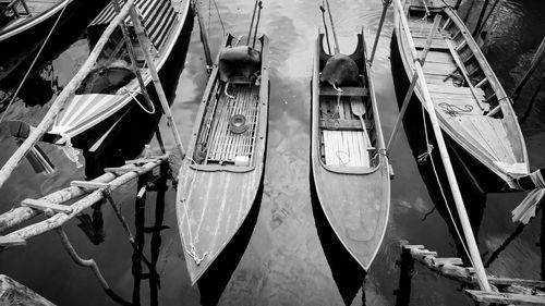 High angle view of fishing boats moored at harbor