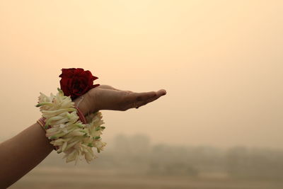 Cropped hand of woman holding bouquet