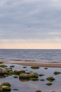 A beautiful landscape of a beach with stones. baltic sea shore with rocks. 