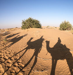 Shadow of man on sand