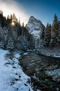 Snow covered land and trees against sky