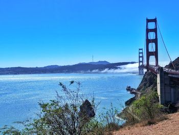 View of suspension bridge against clear blue sky